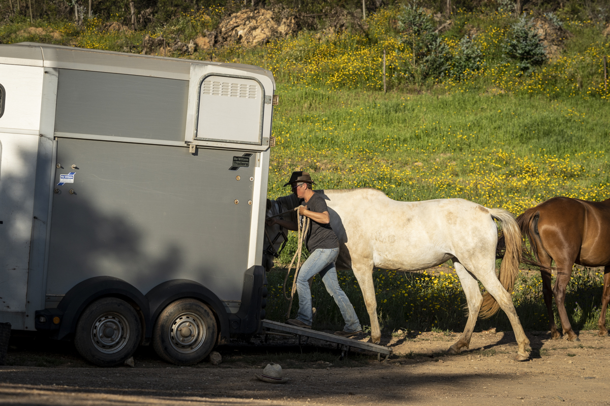 Obstacles, In and Out of the Arena