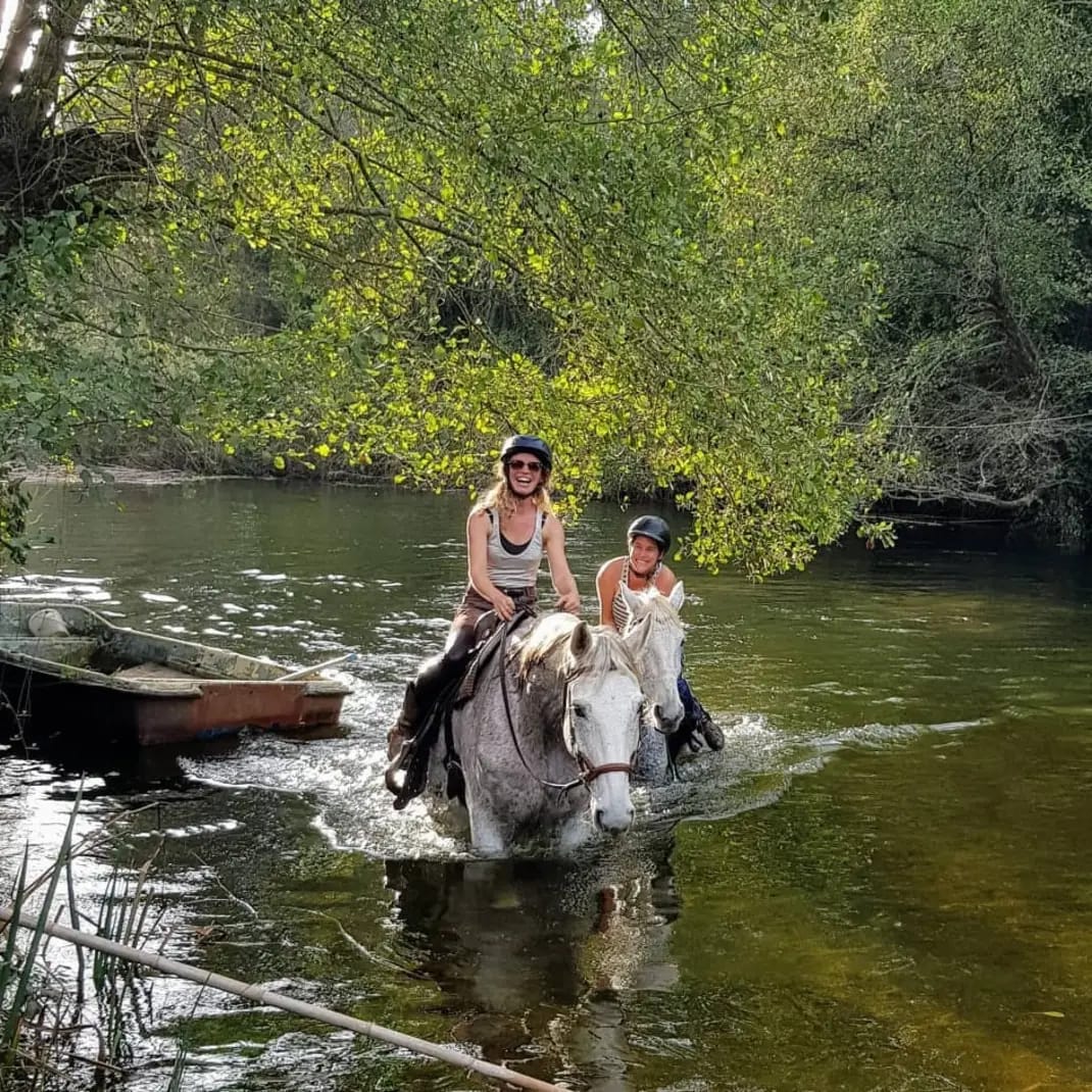 Trail Rides: Raising the Bar